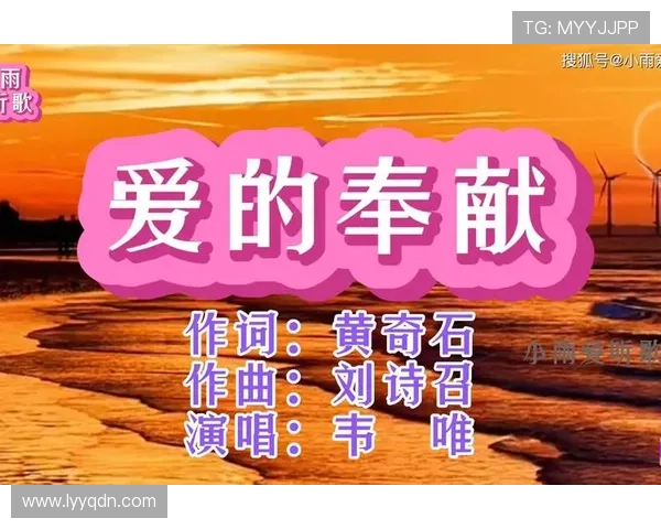 爱在囧途：一场笑中带泪的旅程，关于爱与成长的奇遇记